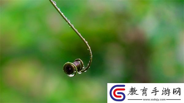老李頭和他的媳婦的性格特點
