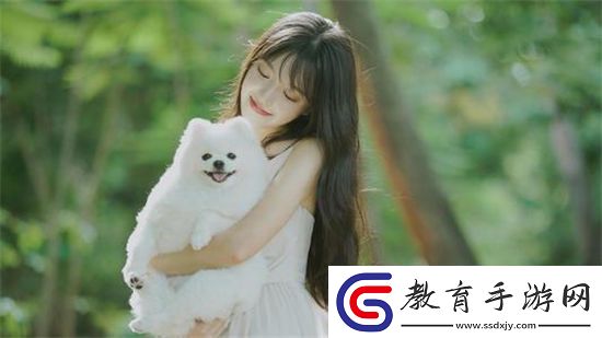 液體收集器系統HH安裝指南