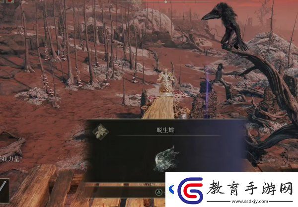 艾爾登法環荒廢廢墟位置在哪?荒廢廢墟全流程圖文攻略