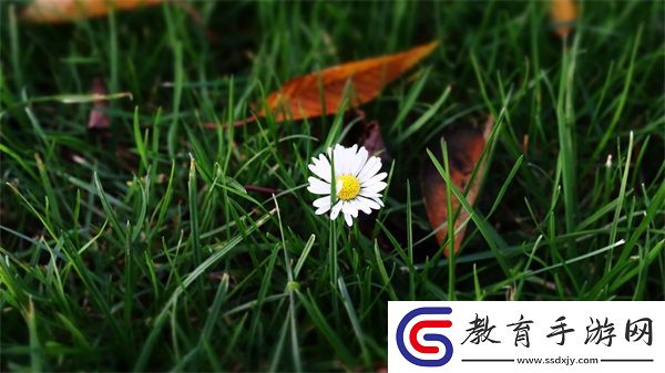 威久國際精彩視頻2022年8月9日
