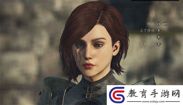 龍之信條2隨從可以利用嗎
