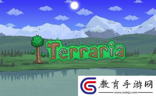 泰拉瑞亞法師畢業(yè)飾品是什么
