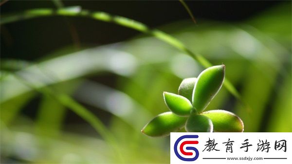 已滿十八歲請帶好紙的歌詞