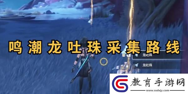 鳴潮龍吐珠采集攻略