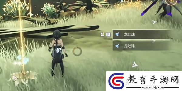 鳴潮龍吐珠采集攻略