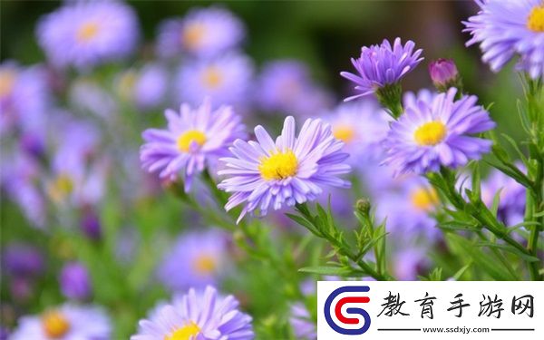 超級凌亂的校園運動會有彈窗