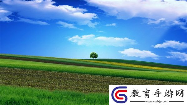 看我們結合的部位律動