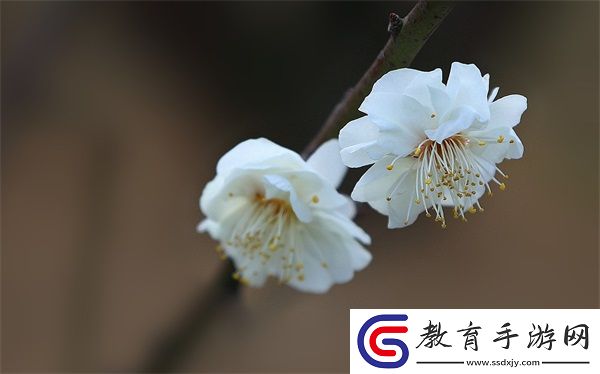 家有三個媳婦陳淑蓉婆媳關系解析
