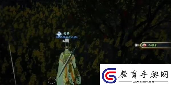 射雕安石榴獲取攻略