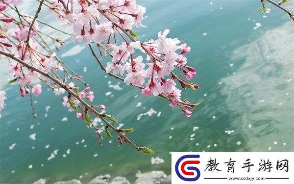 媽媽女兒齊上陣