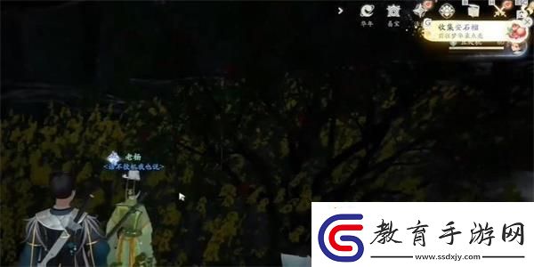 射雕安石榴獲取攻略