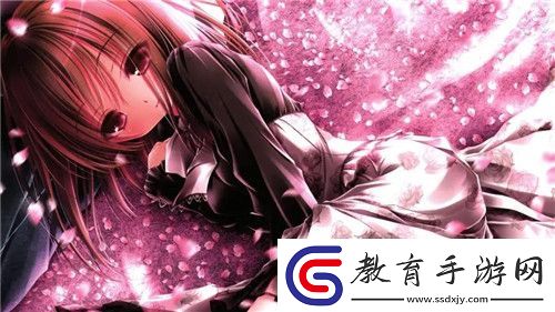 看b站a8直播