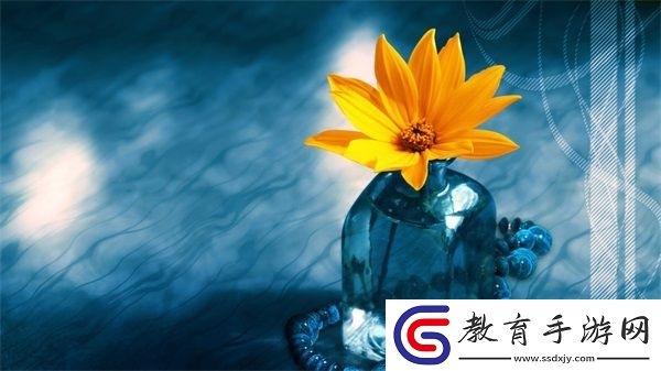 魯大師WWW好看