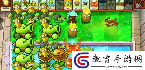 植物大戰(zhàn)僵尸雜交版挑戰(zhàn)植物怎么獲得