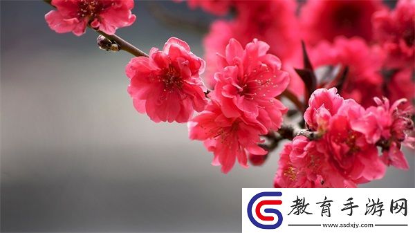 媽媽用身體緩解孩子考試壓力