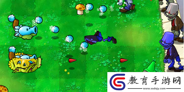 植物大戰僵尸雜交版陽光南瓜掌怎么樣