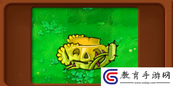 植物大戰僵尸雜交版陽光南瓜掌怎么樣