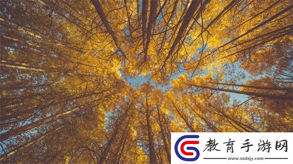 辦公室能不能干濕你