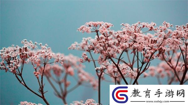 白潔趙敏張倩
