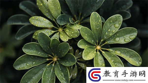 張開你的嘴巴吸進(jìn)一些空氣的英文