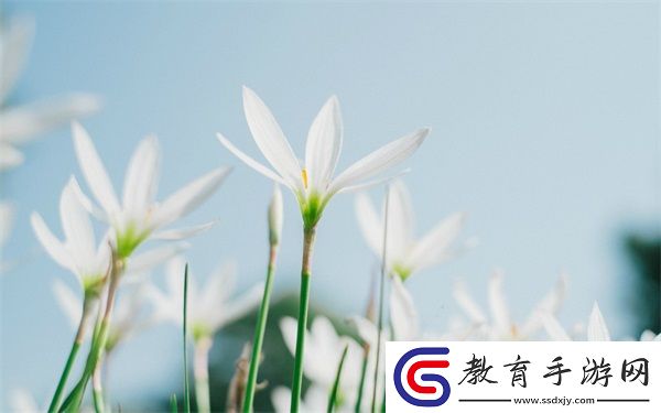亞洲尺碼日本尺碼專(zhuān)線