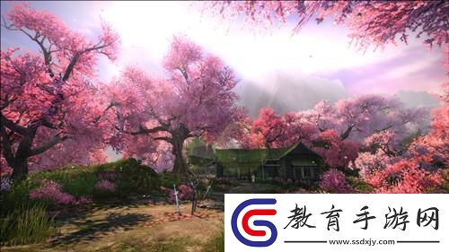 九陰真經(jīng)桃花島武學(xué)連招