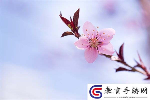 積積桶膚膚的免費軟件大全