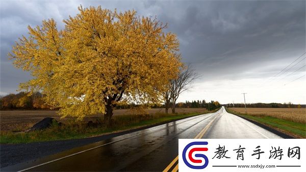 我早就想和你在公司做朋友了