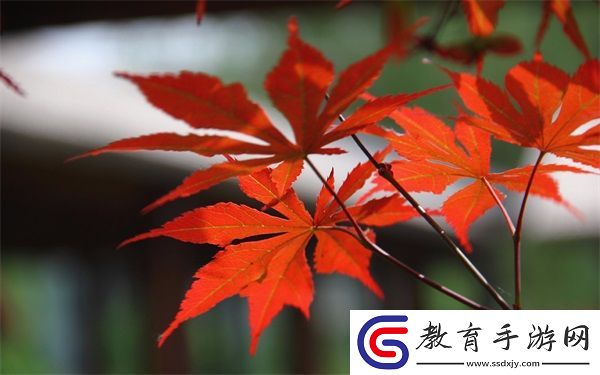 iPhone14歐美日韓版本的比較