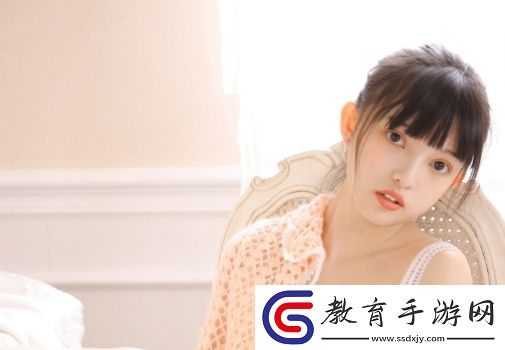 成品網站入口的功能介紹