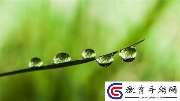 成色好的y31s標準版人民網評測
