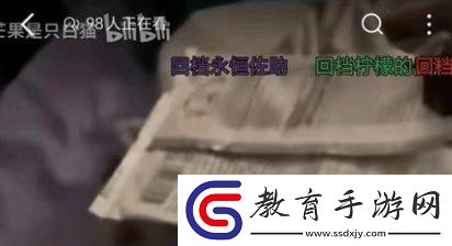 回檔佐助是什么梗什么意思