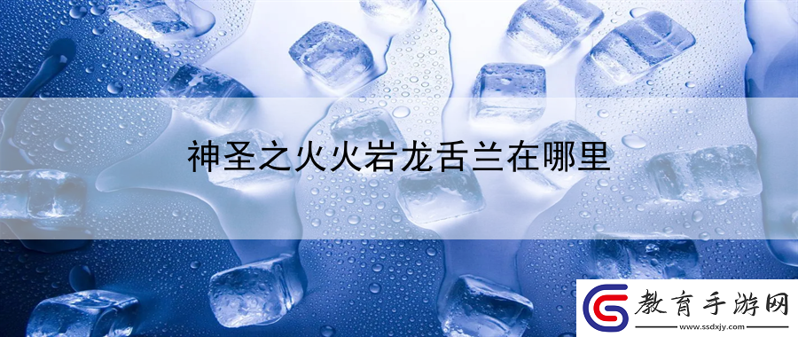 神圣之火火巖龍舌蘭在哪里