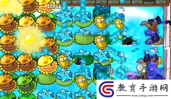 植物大戰(zhàn)僵尸雜交版冒險(xiǎn)模式第72關(guān)怎么通關(guān)