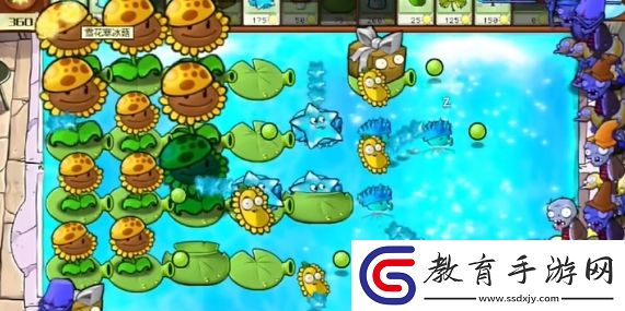 植物大戰(zhàn)僵尸雜交版冒險(xiǎn)模式第72關(guān)怎么通關(guān)