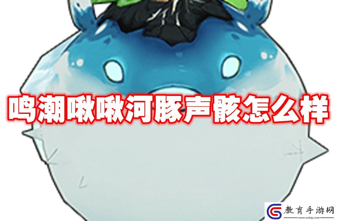 鳴潮啾啾河豚聲骸怎么樣