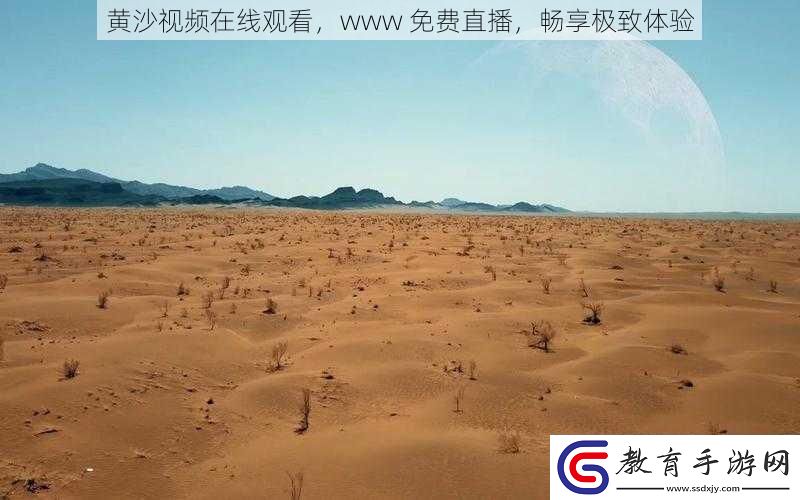 黃沙視頻在線觀看