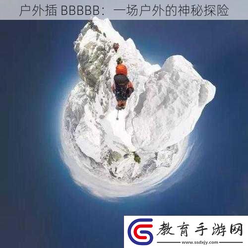 戶外插
