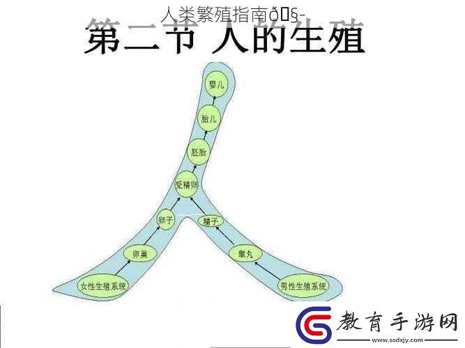 人類繁殖指南