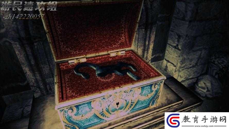 死亡回歸以太凈化的箱子出什么