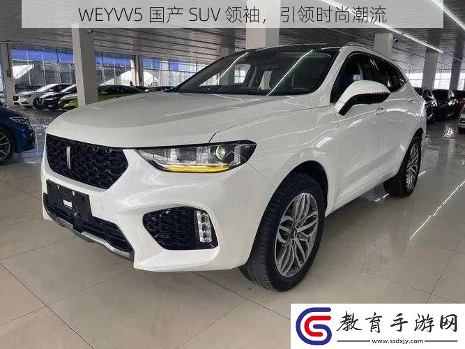WEYVV5