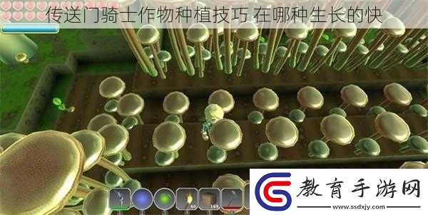 傳送門騎士作物種植技巧