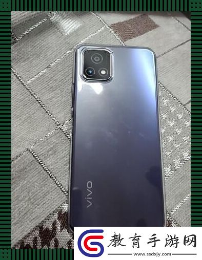 “一級成色好的Y31S”