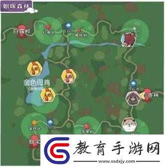 小森生活朝暉森林資源分布及種類