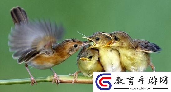 父愛(ài)如‘云’