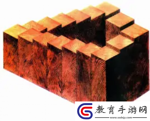 籠中窺夢