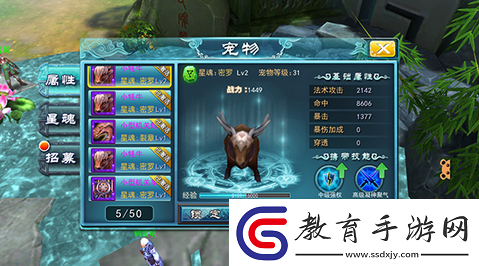 九州無雙寵物系統大揭秘