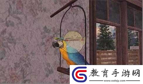 明日之后鸚鵡的言語之謎