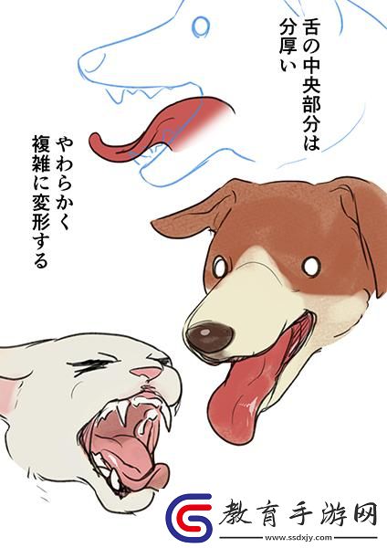 肉食動物取食報告動漫
