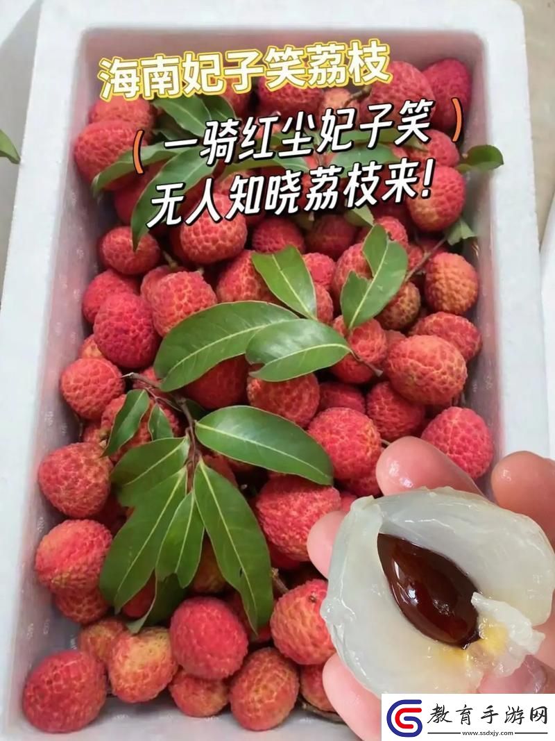 推進荔枝之路